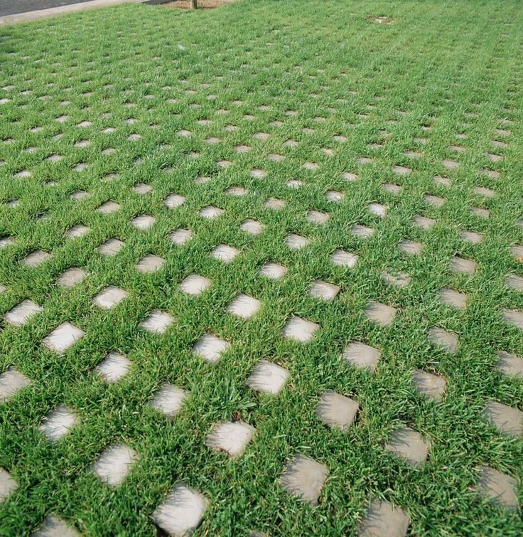 Agro-allied Services